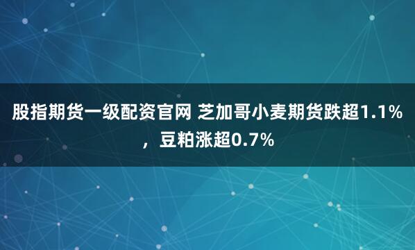 股指期货一级配资官网 芝加哥小麦期货跌超1.1%，豆粕涨超0.7%